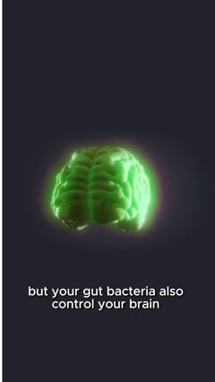 but your gut bacteria also control your brain