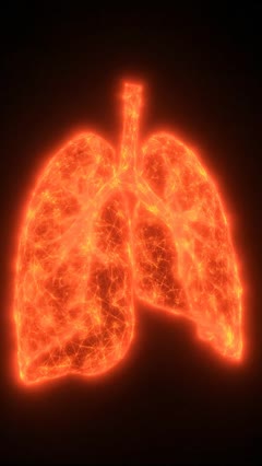 AI lungs visual