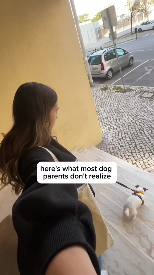 here's what most dog parents don't realize