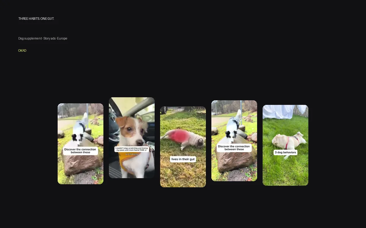 TiPaw — dog supplement story ads with AI gut b-roll