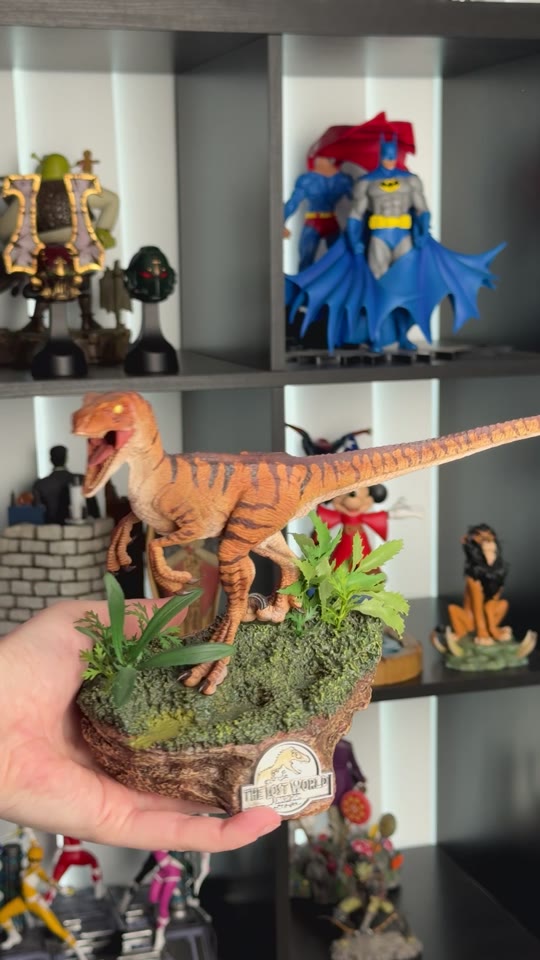 Shelf wall with a raptor