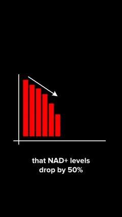 that NAD+ levels drop by 50%