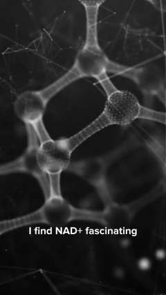 I find NAD+ fascinating