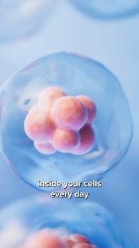 AI cells: inside your cells every day