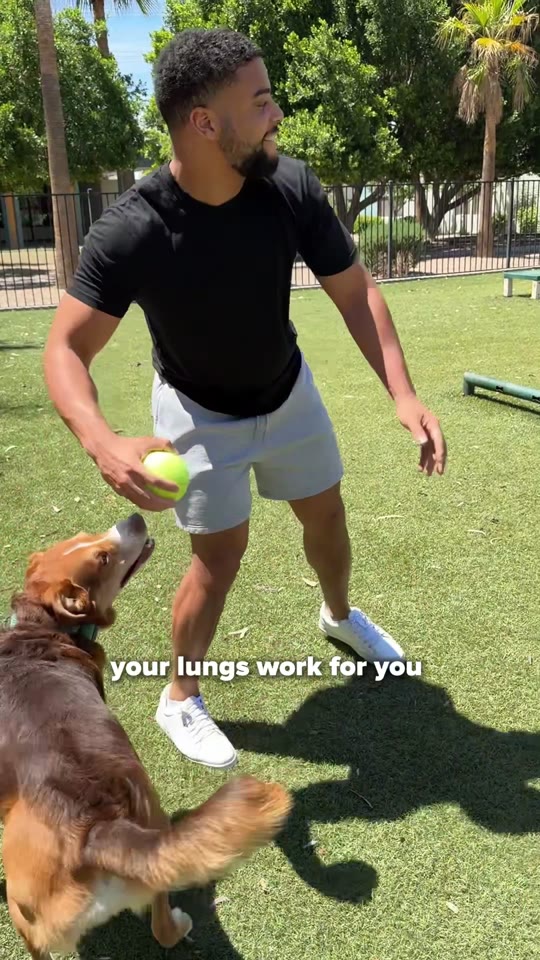 your lungs work for you